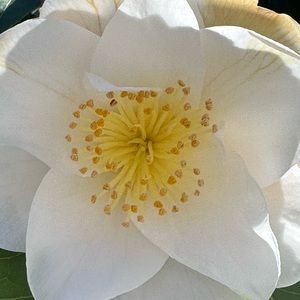 🎁POP UP Unlisted 1-10‎